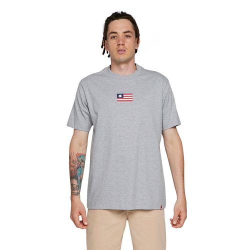 Camiseta DC Shoes M/C Star Flag Cinza Mescla