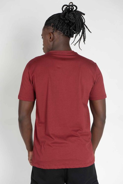 Camiseta DC Shoes M/C Embroidery Bordo