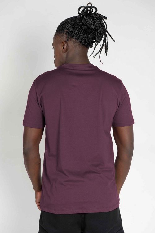 Camiseta DC Shoes M/C Embroidery Bordô