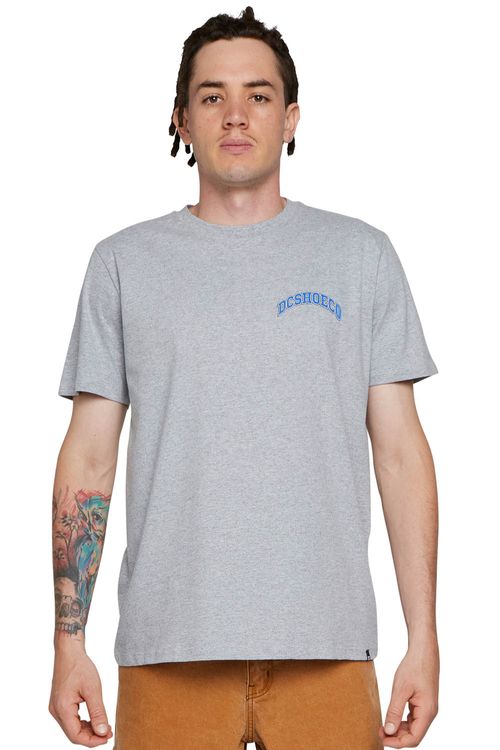Camiseta DC Shoes M/C Orientation Cinza Mescla