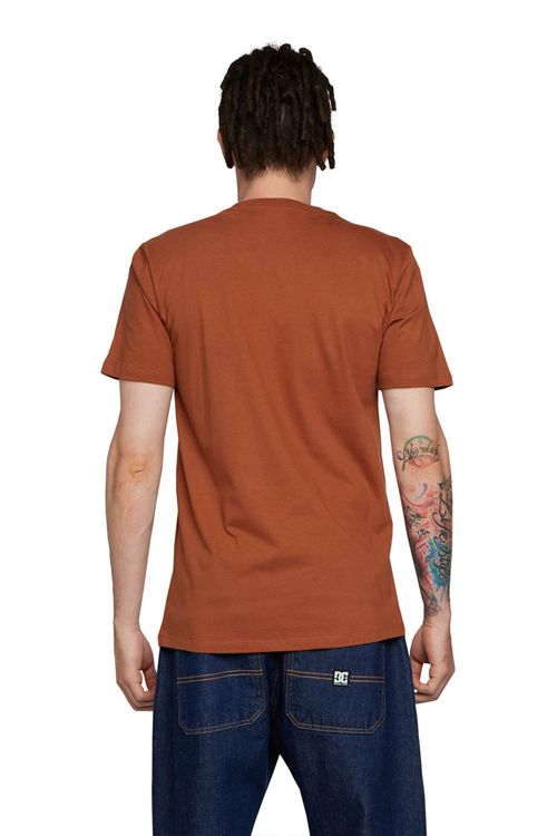 Camiseta Dc Shoes M/C  Star Color  Marrom