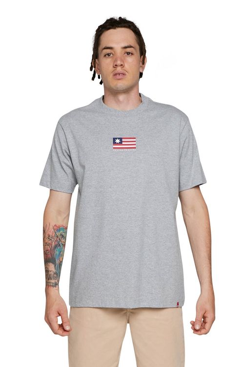 Camiseta DC Shoes M/C Star Flag Cinza Mescla