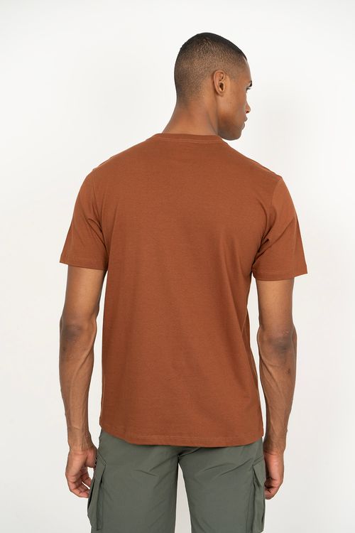 Camiseta Dc Shoes M/c Embroidery Marrom